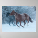 Search for quartering posters Superstock