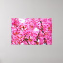 Search for pink cherry blossom canvas prints Nature