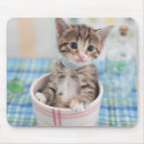 Recherche de chaton tapis souris Aucunes personnes