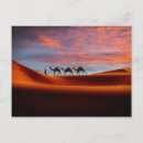 Recherche de pays du moyen orient cartes postales Paysage