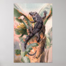 Search for iguanas posters Rainforest