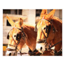 Search for mule posters Donkey