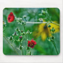 Recherche de fly tapis souris Nature