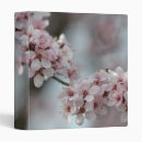 Search for blossoms binders Photography