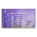 Recherche de colibris cartes visite Affaires