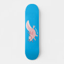 Search for cartoon skateboards pet