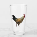 Search for rooster tumblers Cockerel