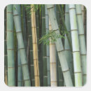 Search for kyoto japan stickers Arashiyama