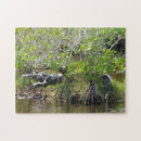 Recherche de alligator puzzles Animal