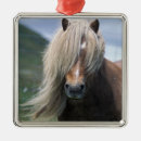 Recherche de crinière ornements Cheval