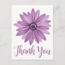 Recherche de marguerite violette cartes postales Pour elle