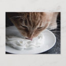 Search for happy mail postcards Animal