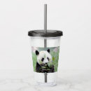 Search for panda tumblers Nature