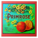 Search for orange fruit tiles Oranges