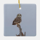 Search for ear ornaments Animal