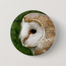 Search for barnes buttons Cute