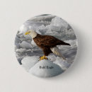 Search for bald eagles buttons Bird