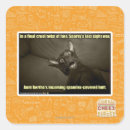 Search for sight stickers I can has cheezburger