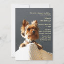 Recherche de terrier invitations De chien