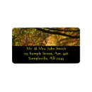 Search for canopy Forest