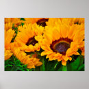 Recherche de belle peinture posters Tournesol