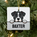 Recherche de american staffordshire terrier ornaments Amstaff