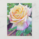 Recherche de peace cartes postales Pour elle