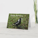 Recherche de oiseau noir et blanc vœux cartes Oiseaux