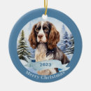 Search for springer spaniel ornaments Xmas
