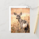 Recherche de grungy cartes postales Brun