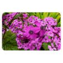 Recherche de violet magnets Fleurs violettes