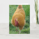 Search for buff cards Bird