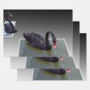Search for pond gift wrap Swimming