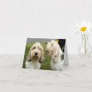 Search for griffon cards Puppy
