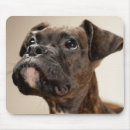 Search for body part mousepads One animal