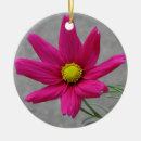 Search for pink flower ornaments Photograph