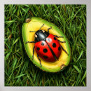 Search for cute bugs posters Green