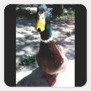 Search for nibbled stickers Nibbles