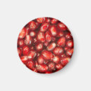 Search for pomegranate magnets Food