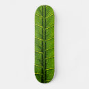 Search for details skateboards Close up