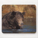 Search for steve mousepads Alaska