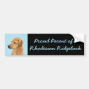 Search for noses bumper stickers Cute