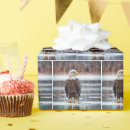 Search for predator wrapping paper Wild