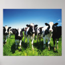 Recherche de vue de face posters Agriculture