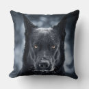 Search for german shepherd pillows Animals