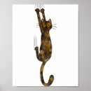 Search for tortoise posters Funny