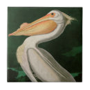 Search for pelican tiles Nature