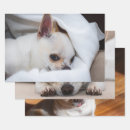 Recherche de chi papier cadeau Dog