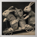 Search for black rabbit art Rabbits