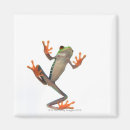 Recherche de blooded magnets Faune